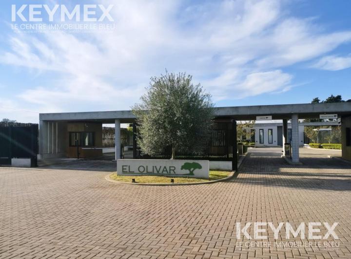 Terreno · 394m²