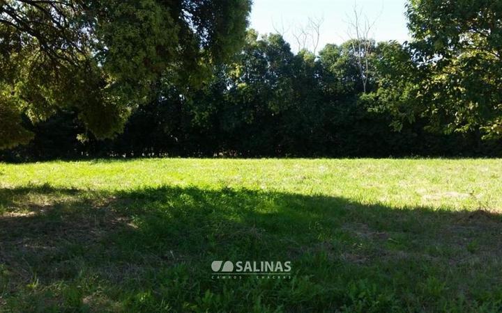 Terreno · 350m²