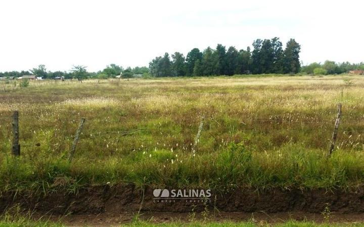 Terreno · 350m²