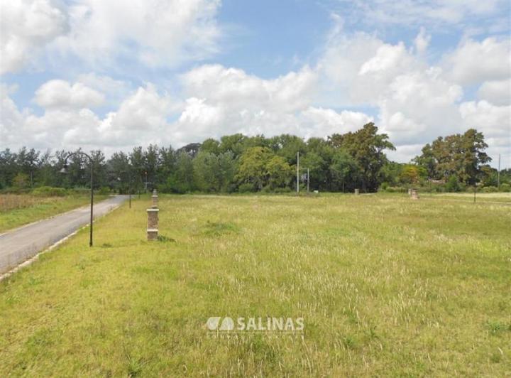 Terreno · 300m²