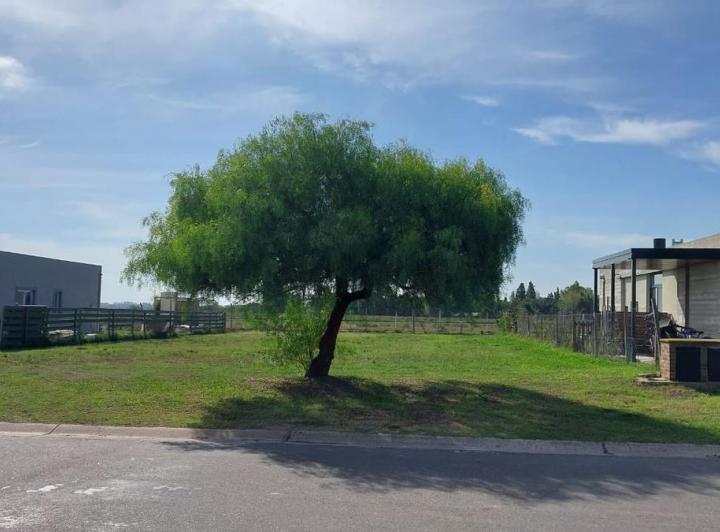 Terreno · 817m²