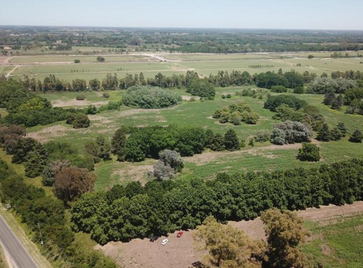 Terreno · 604m²