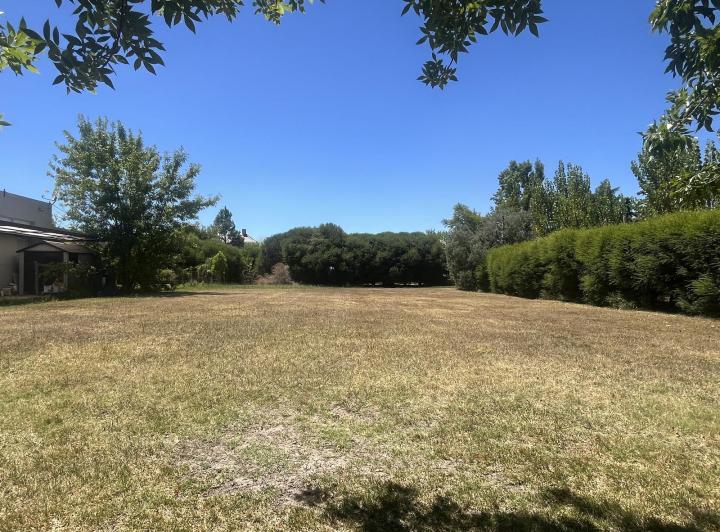 Terreno · 970m²