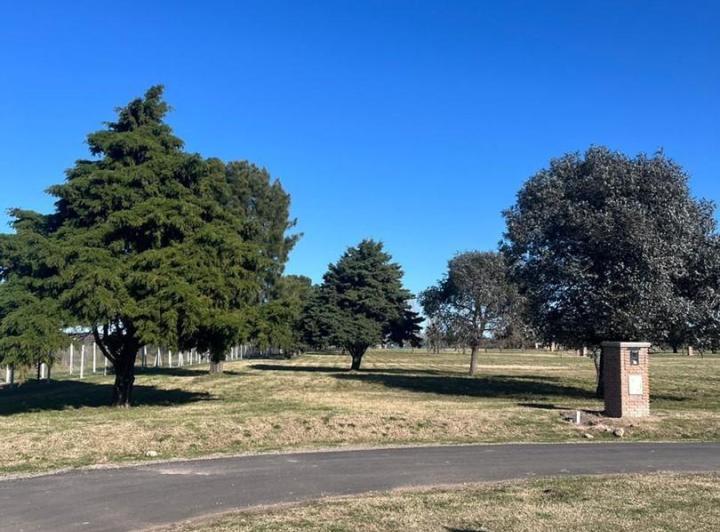 Terreno · 1000m²