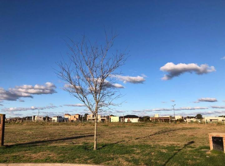 Terreno · 1010m²