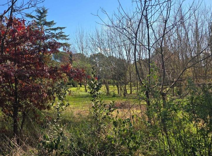 Terreno · 2766m²