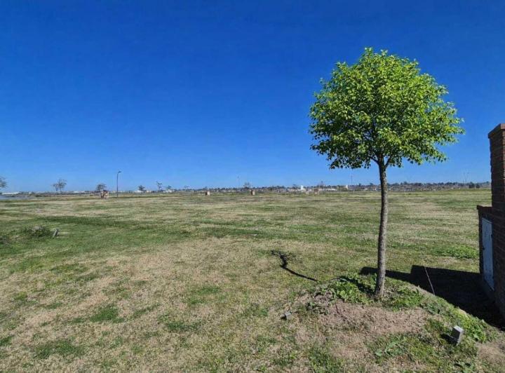 Terreno · 680m²