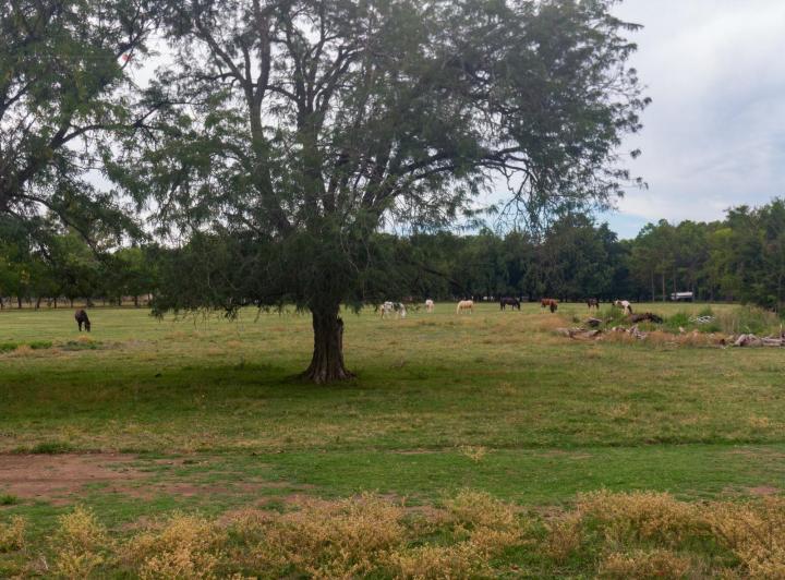 Terreno · 900m²