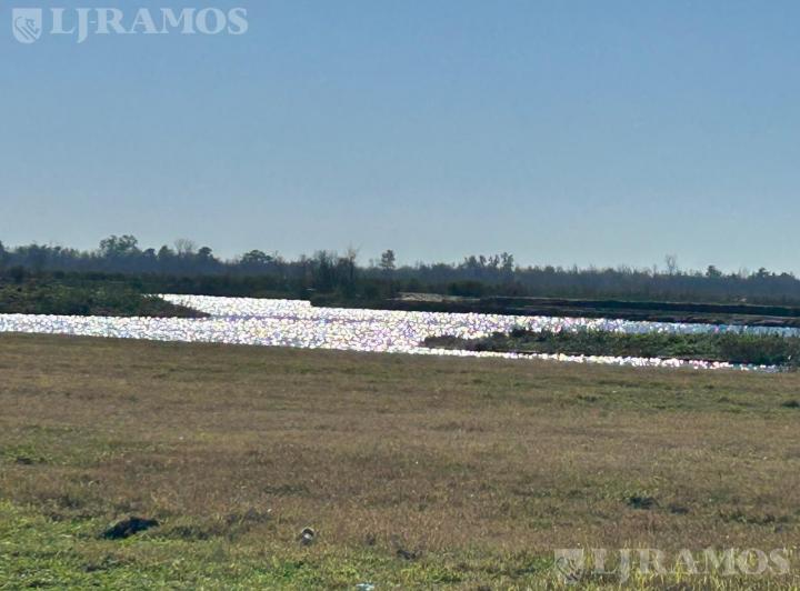 Terreno · 1009m²
