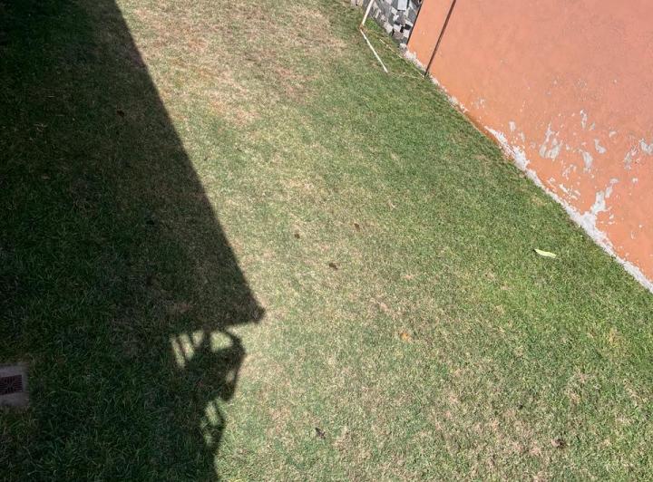 Terreno · 295m²