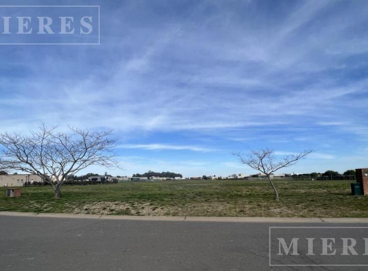 Terreno · 981m²