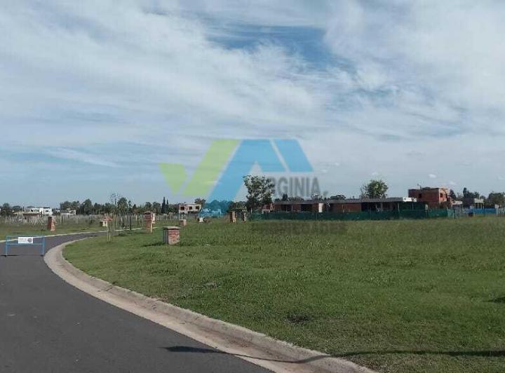 Terreno · 553m²
