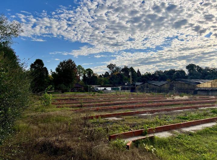 Terreno · 5000m²