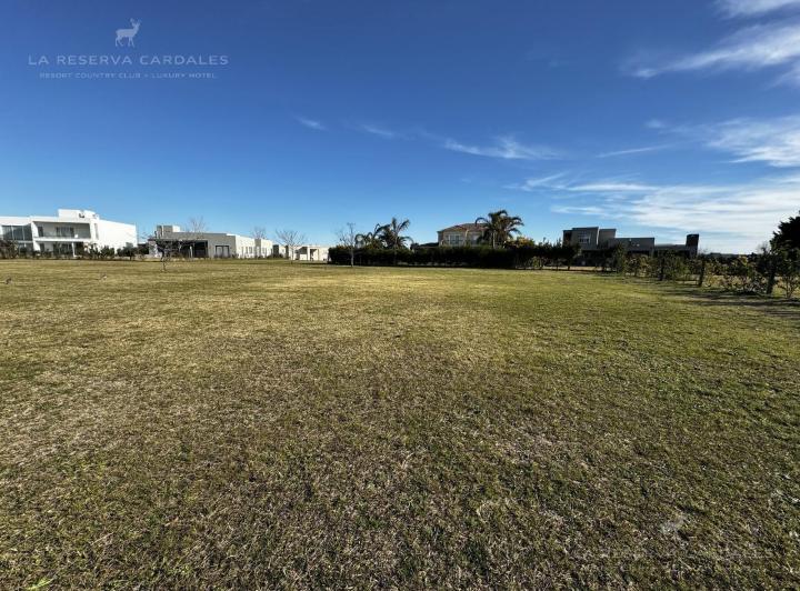 Terreno · 1119m²