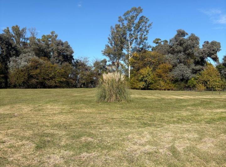 Terreno · 1311m²