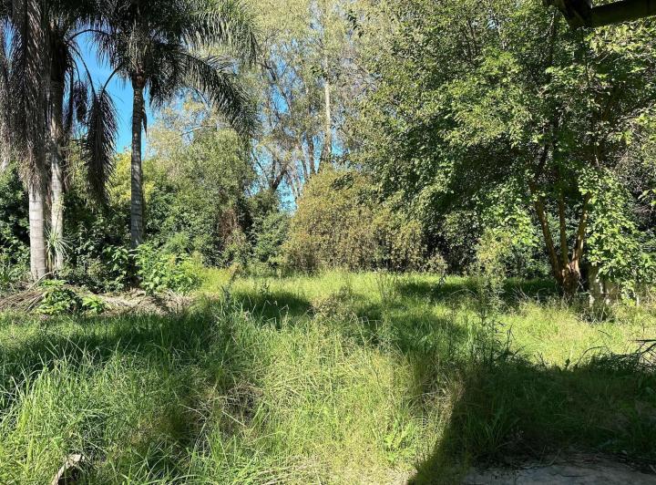 Terreno · 1200m²