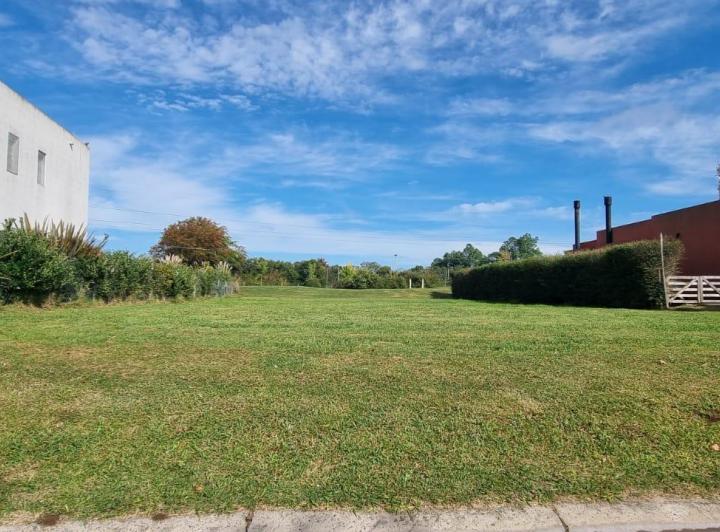 Terreno · 1040m²