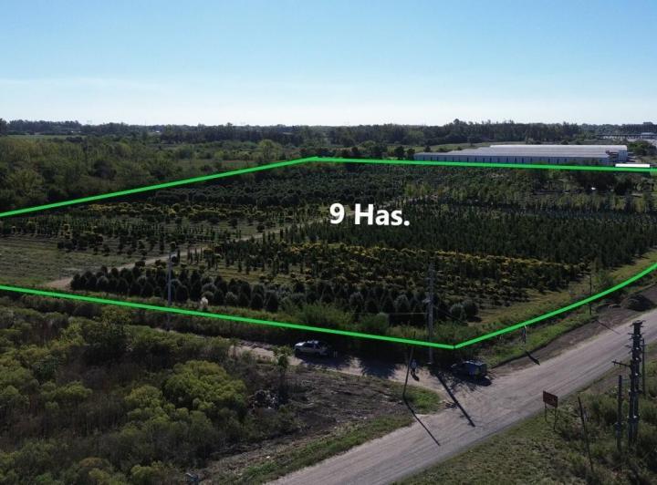 Terreno · 9m²