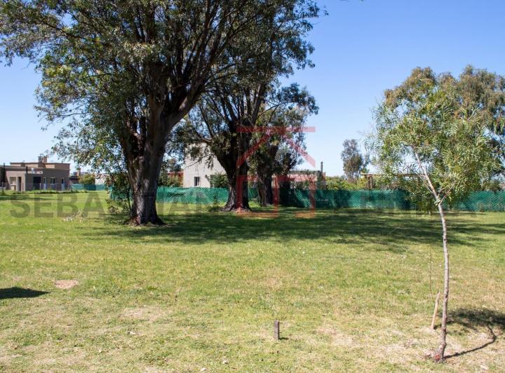 Terreno · 650m²