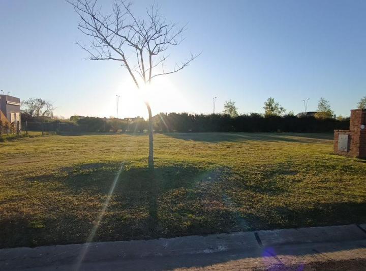 Terreno · 560m²
