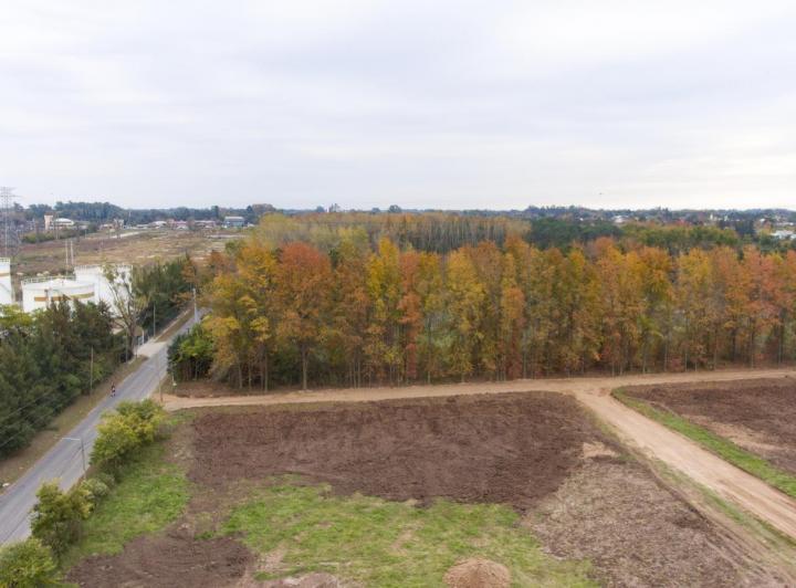 Terreno · 1500m²