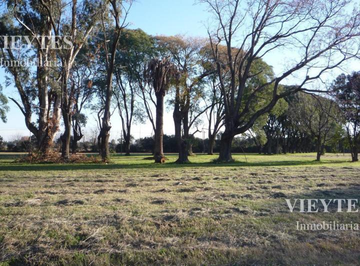 Terreno · 602m²