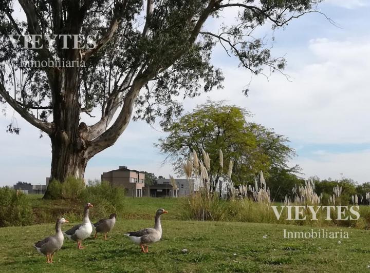 Terreno · 1000m²