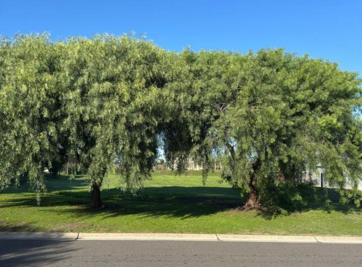 Terreno · 824m²