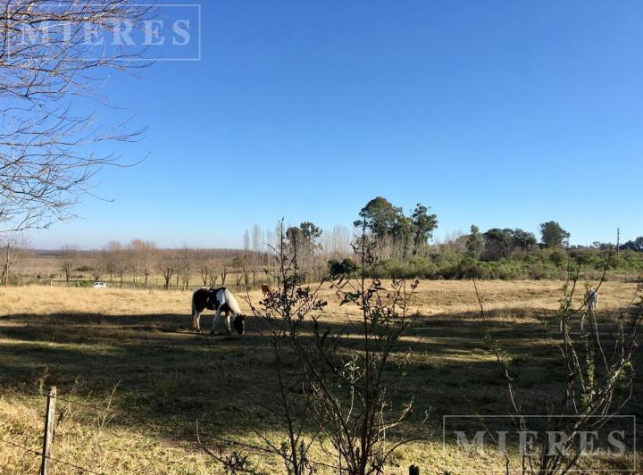 Terreno · 10000m²