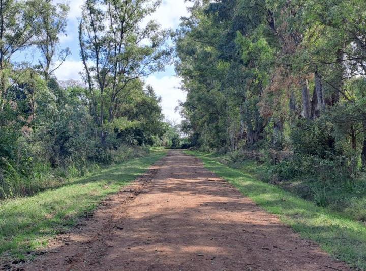 Terreno · 5000m²