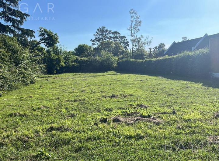 Terreno · 1000m²