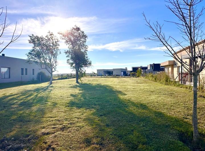 Terreno · 784m²