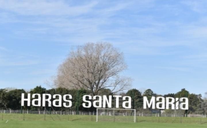 Terreno · 1300m²