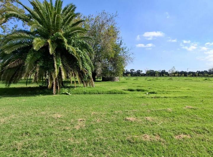 Terreno · 875m²