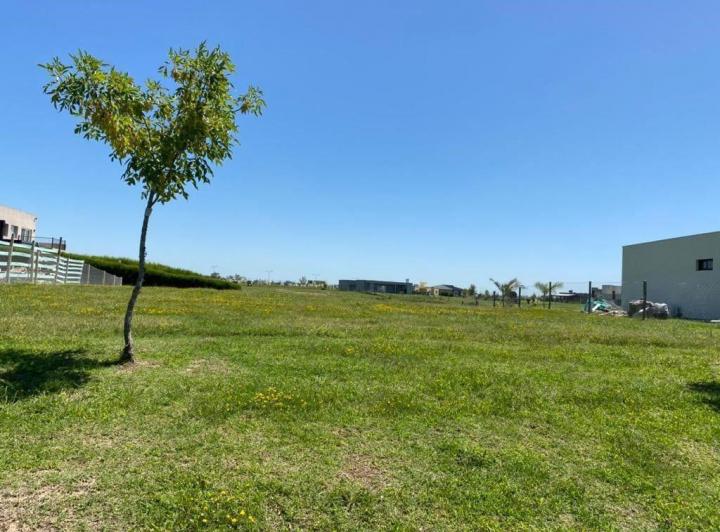Terreno · 1001m²