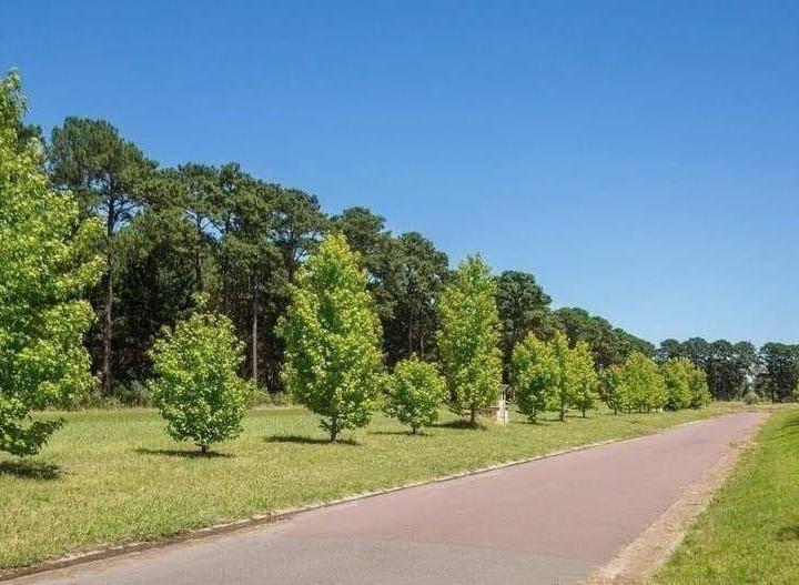Terreno · 1400m²