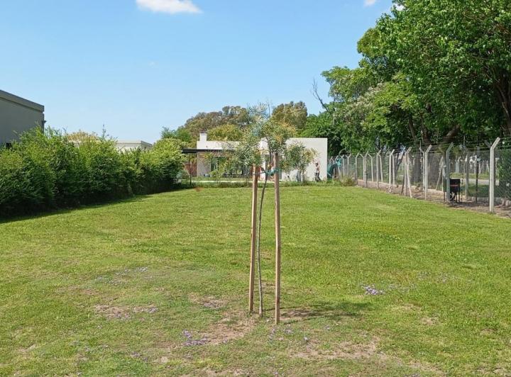 Terreno · 544m²