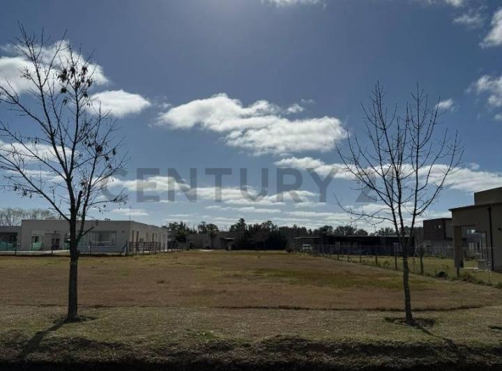 Terreno · 1000m²