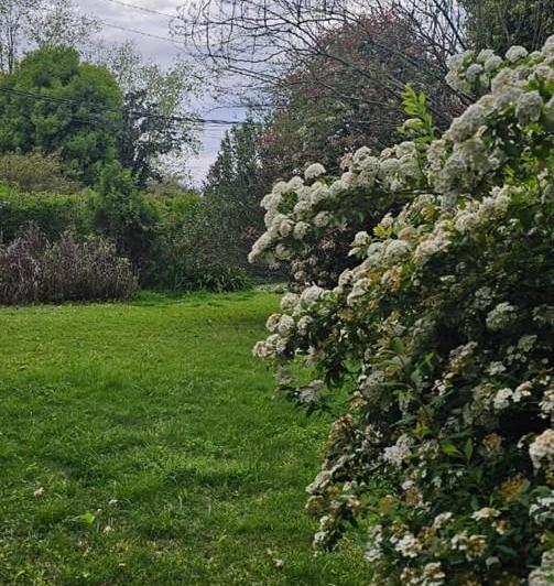 Terreno · 600m²