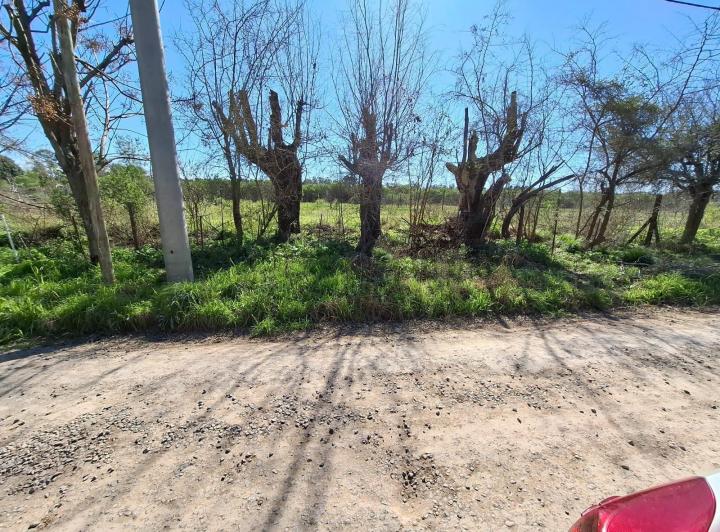 Terreno · 1000m²