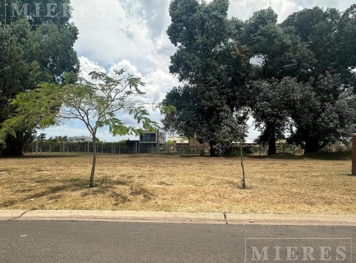 Terreno · 484m²