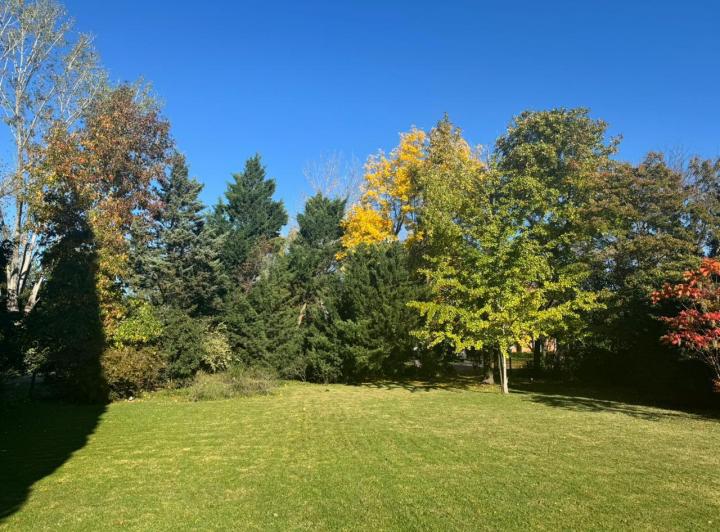 Terreno · 1039m²