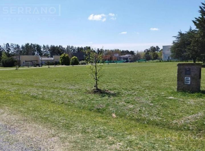 Terreno · 3067m²