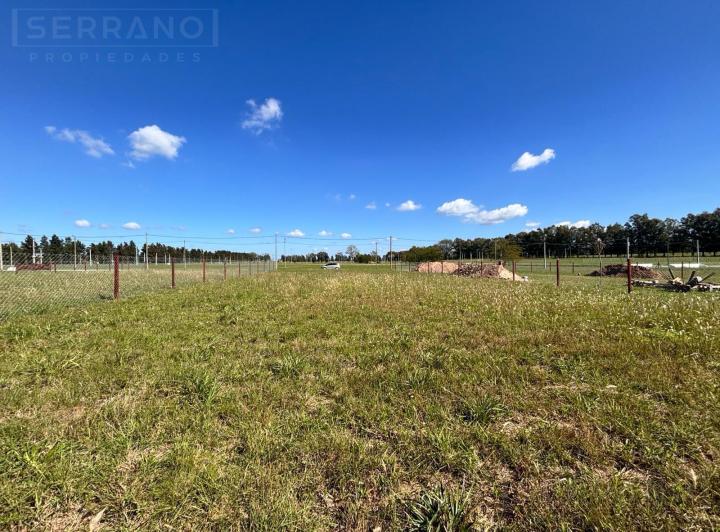 Terreno · 1000m²