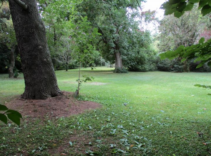 Terreno