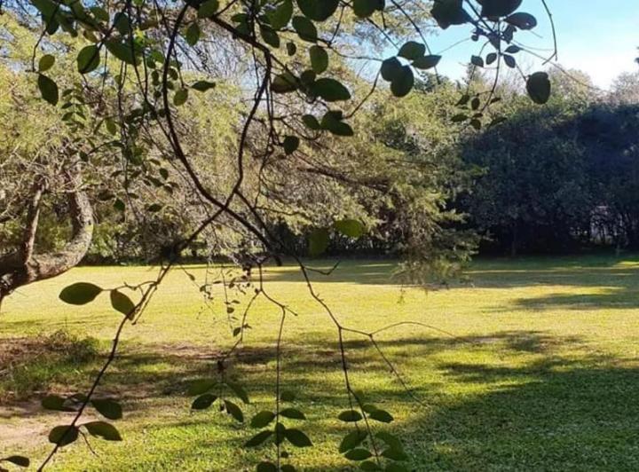 Terreno · 2500m²