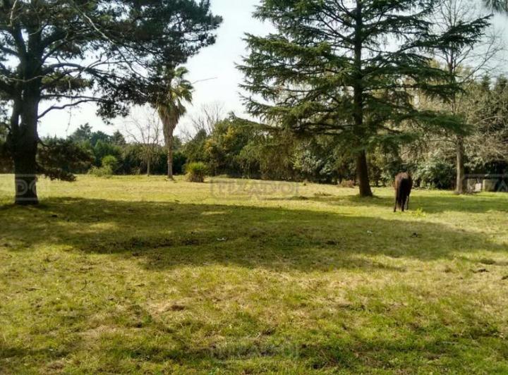 Terreno · 2800m²