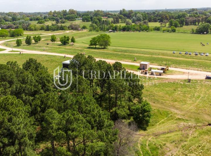 Terreno · 1226m²