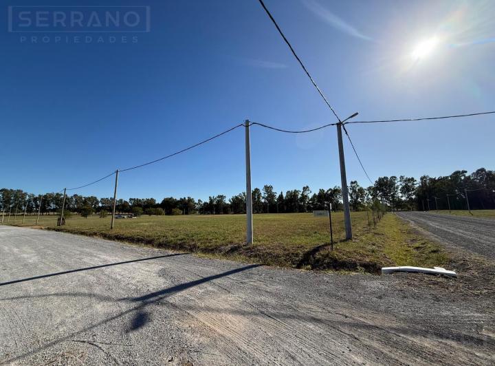 Terreno · 995m²