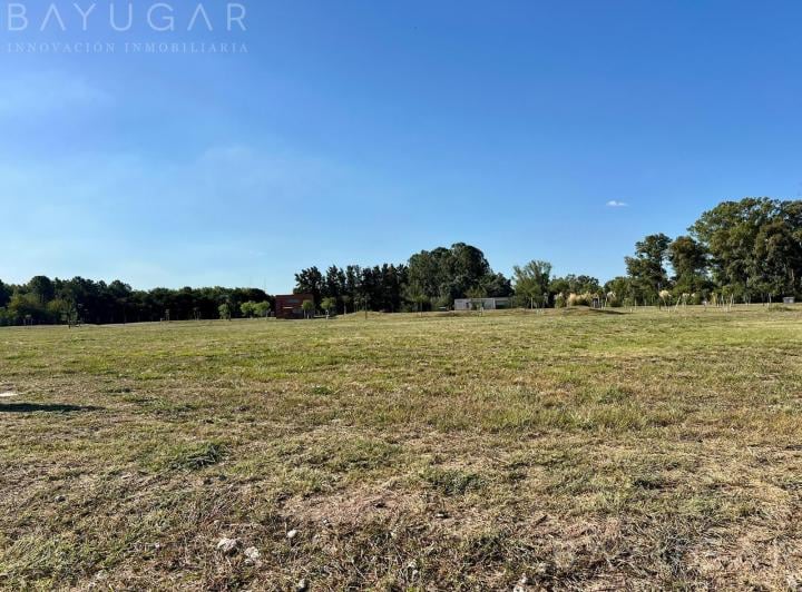 Terreno · 1098m²